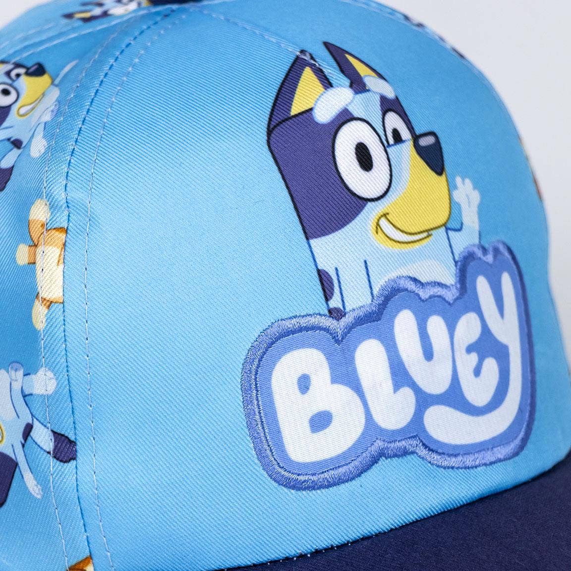 VISIERA CURVA BLUEY