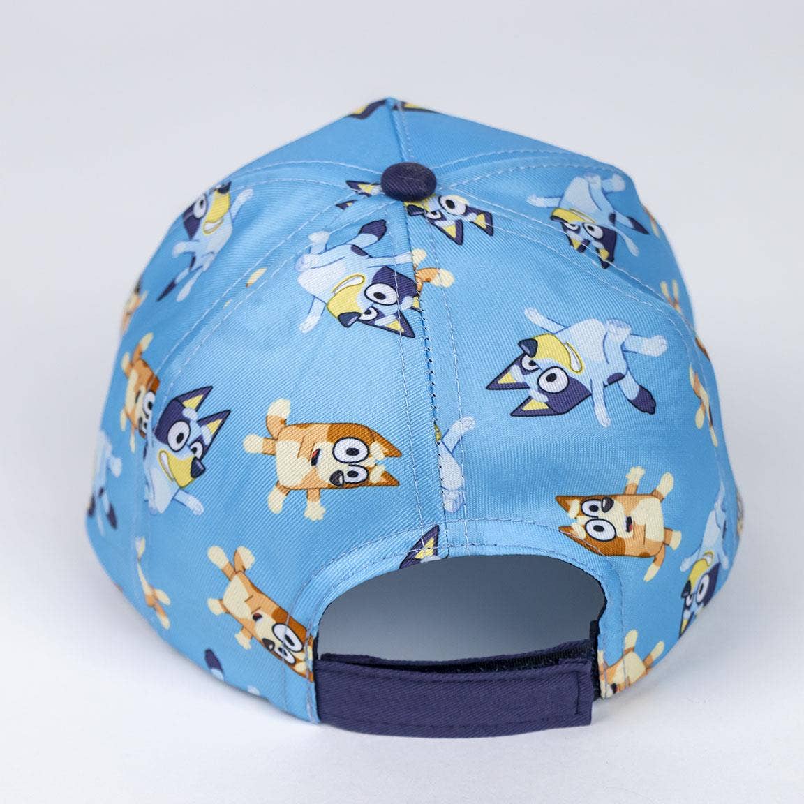 VISIERA CURVA BLUEY